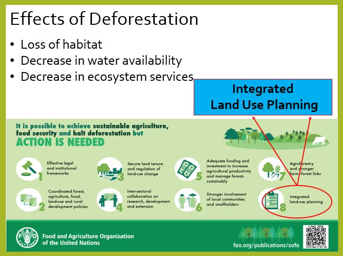 EffectsofDeforestation